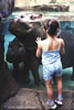 Caroline: Hippo Harbor